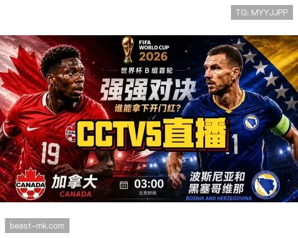 世界杯B组波黑能否创造惊喜