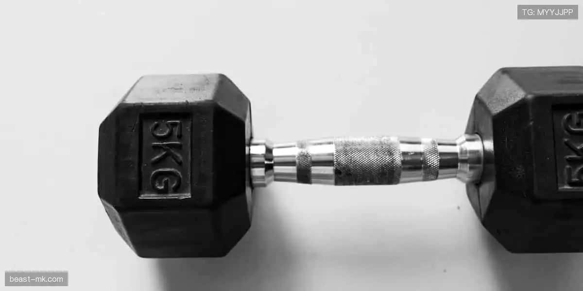 🏆 见证每一刻荣耀,体育赛事官网,让热爱永不缺席!